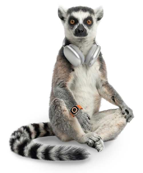 Lemur Julián